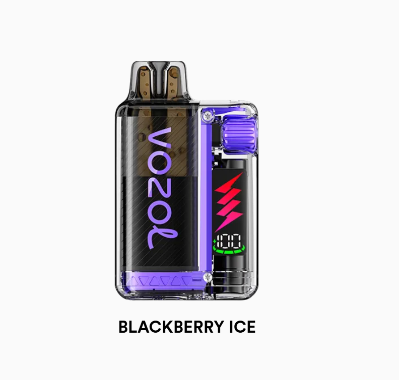 Vozol Vista Plug 10000 Blackberry ice